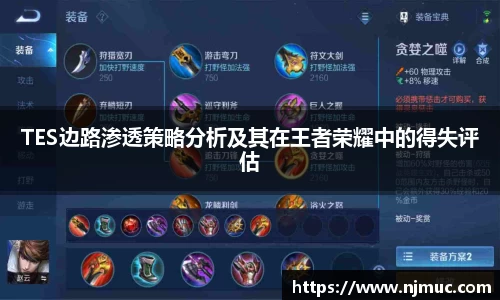 TES边路渗透策略分析及其在王者荣耀中的得失评估