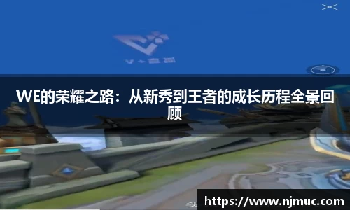 WE的荣耀之路：从新秀到王者的成长历程全景回顾