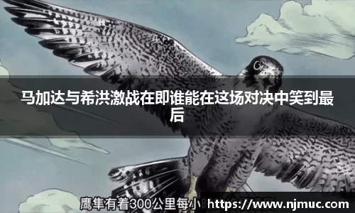 马加达与希洪激战在即谁能在这场对决中笑到最后