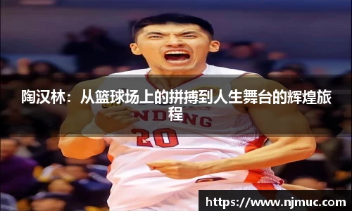 陶汉林：从篮球场上的拼搏到人生舞台的辉煌旅程