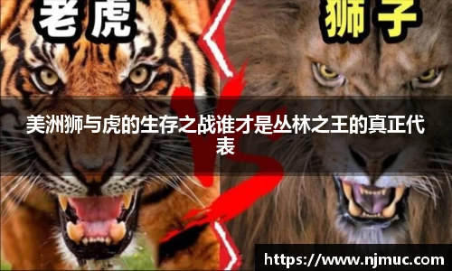 美洲狮与虎的生存之战谁才是丛林之王的真正代表